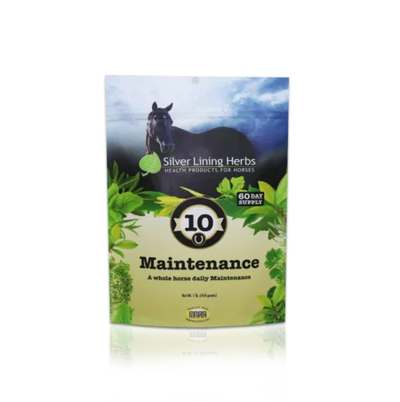 Silver Lining #10 Maintenance