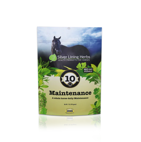 Silver Lining #10 Maintenance