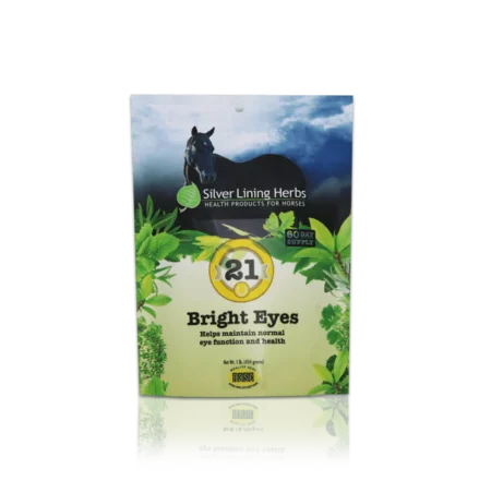 Silver Lining #21 Bright Eyes