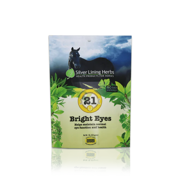 Silver Lining #21 Bright Eyes