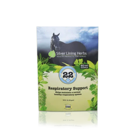 Silver Lining #22 Respiratory Support