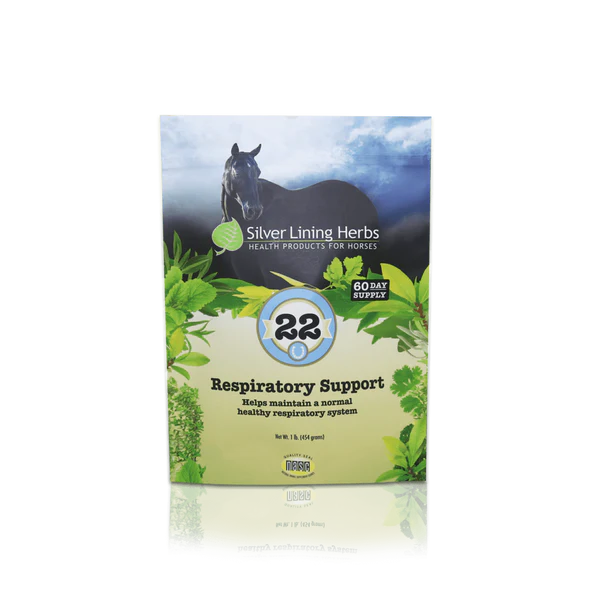 Silver Lining #22 Respiratory Support