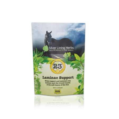Silver Lining #23 Laminae Support