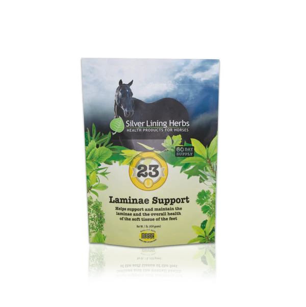 Silver Lining #23 Laminae Support