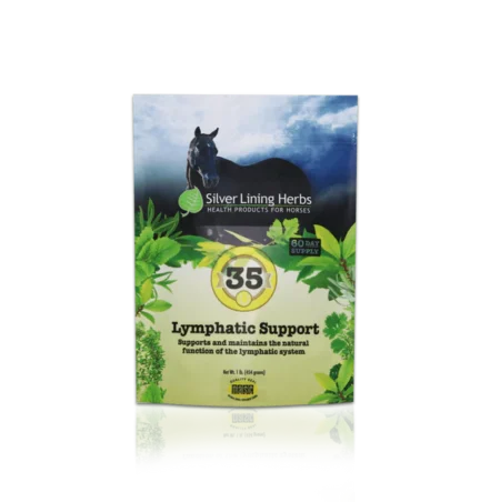 Silver Lining #35 Lymphatic Support