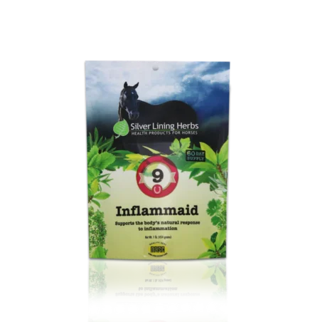 Silver Linings #9 Inflammaid