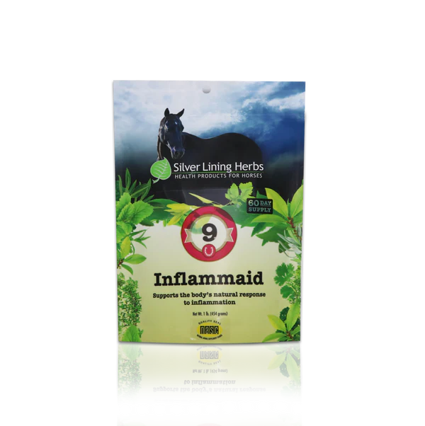 Silver Linings #9 Inflammaid