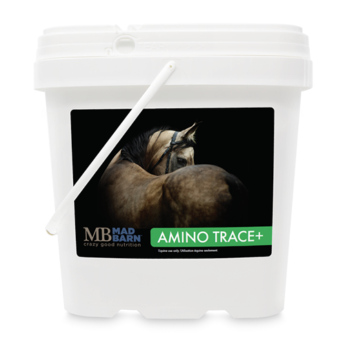 Mad Barn Amino Trace+ Pellet