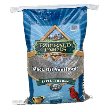 Black Oil Sunflower Seeds