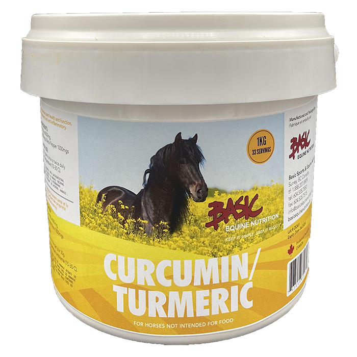 Curcumin/Turmeric