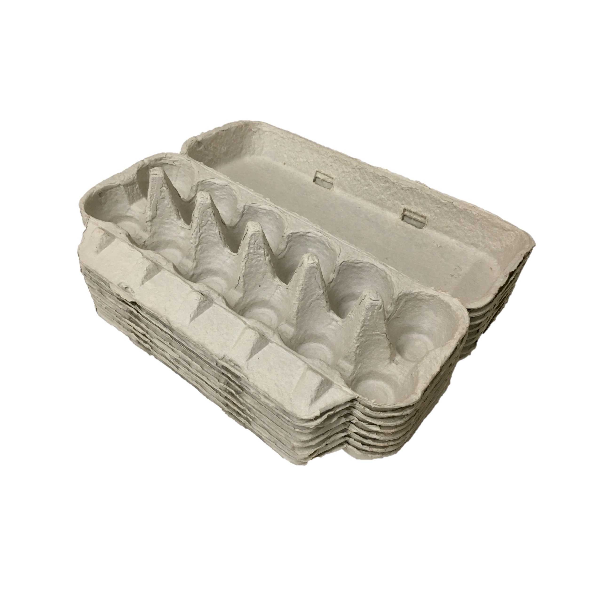 Egg Carton