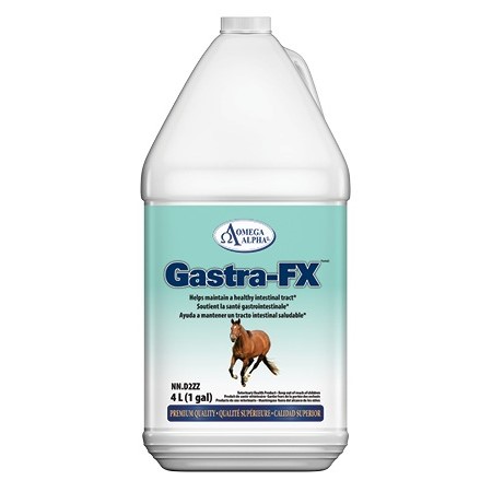 Gastra-FX