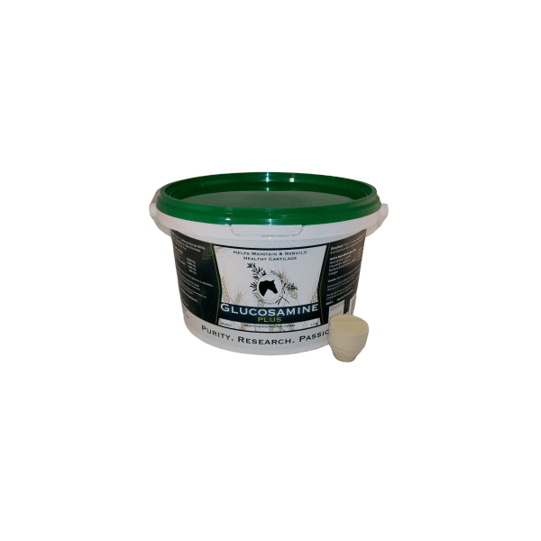 Glucosamine Plus
