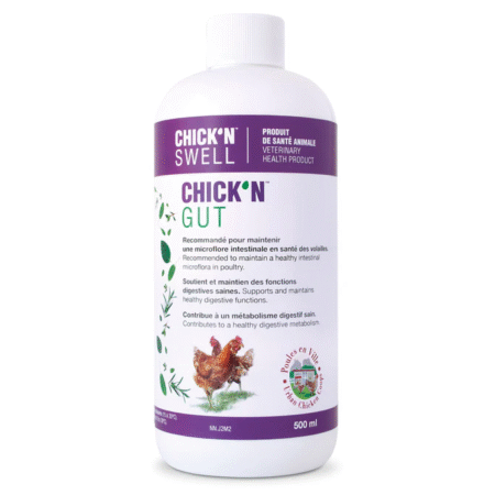 Chick'N Swell - Gut