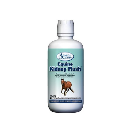 Kidney Flush
