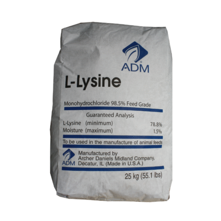 Lysine