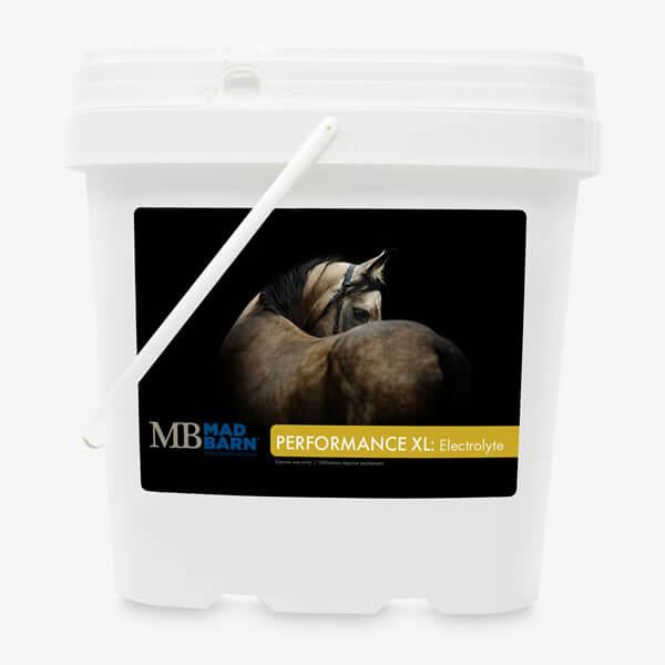 Mad Barn Performance XL Electrolyte