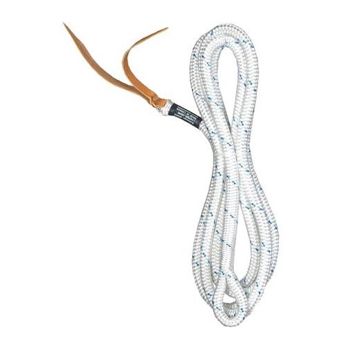 12' Loop Lead