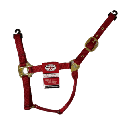 Nylon Horse Halter